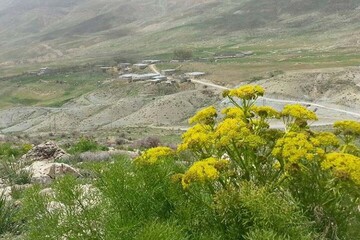 کاکان بویراحمد؛ شکوهی از افسانه و تاریخ و طبیعت