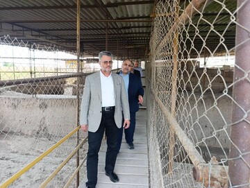 فرمانده یگان حفاظت میراث‌فرهنگی کشور از سایت موزه گوهر بازدید کرد