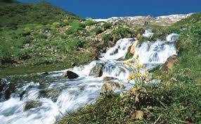 چشمه میشی سی سخت، پرآب‌ترین و خنک‌ترین چشمه‌ زاگرس