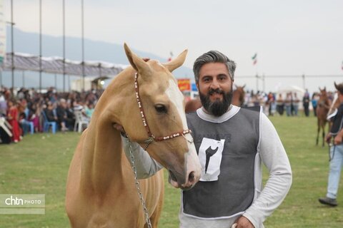 اسب
