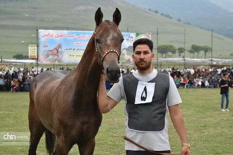 اسب
