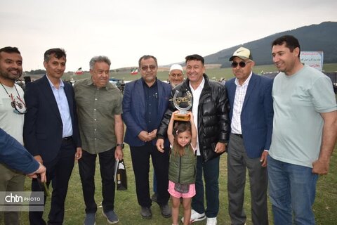 اسب