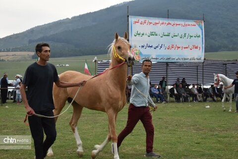 اسب