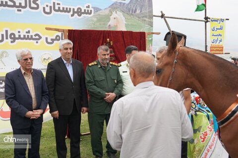اسب