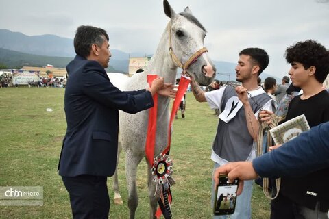 اسب