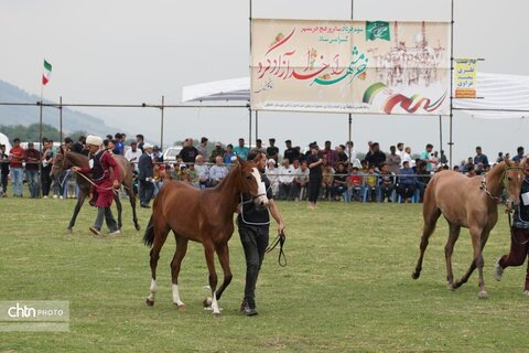 اسب