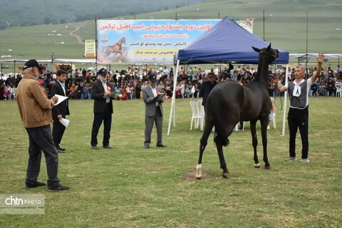 اسب
