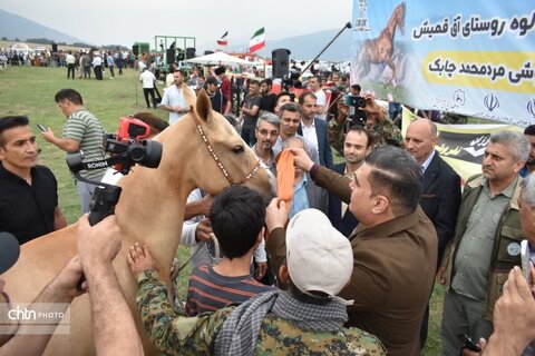 اسب