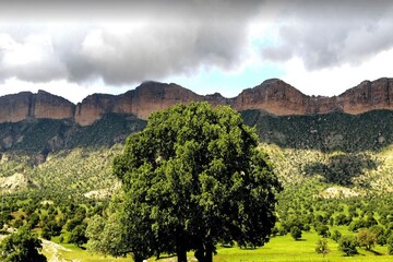 شهرستان چوار، نگینی بر انگشتری استان ایلام