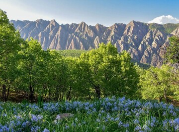 ارتفاع جنگلی مهراب‌کوه