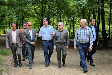 آغار عملیات اجرایی زیرساخت منطقه نمونه مهربان رود بهشهر/ کاشت ۱۲۰ تیر برق با اعتبار بالغ بر ۳۵ میلیارد ریال