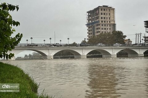 دومین جشنواره هالوکتنا در تنکابن برگزار می‌شود