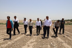 سفر مدیرکل میراث‌فرهنگی، گردشگری و صنایع‌دستی خوزستان به اندیمشک و شوش