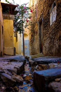 بافت تاریخی شهر بوشهر، آینه‌ای از معماری بومی و فرهنگ دریایی جنوب ایران