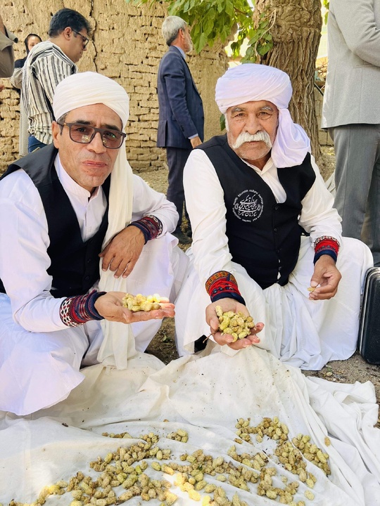 جشنواره مردمی توت در روستای بهدان شهرستان بیرجند برگزار شد