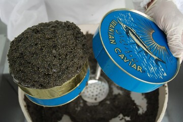 میراث طبیعی در خدمت گردشگری پایدار/ طرح گردشگری ماهیان خاویاری آشوراده تدوین می‌شود