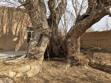 ۲ اثر طبیعی یزد ثبت ملی شد