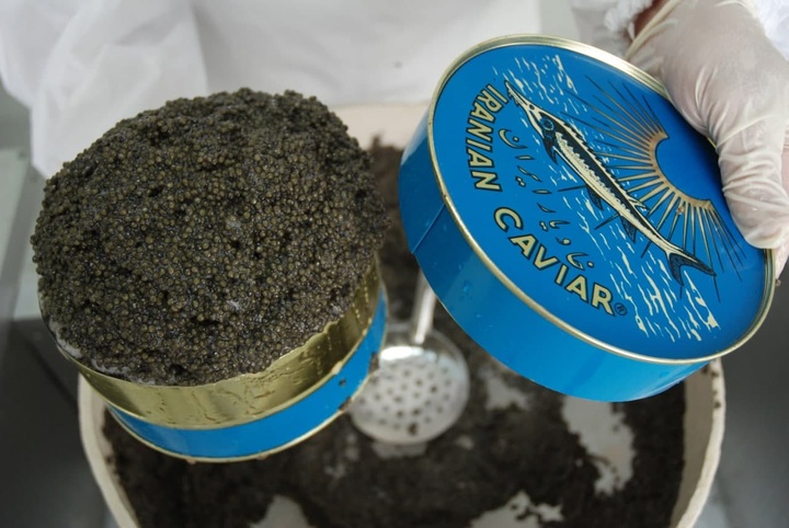 میراث طبیعی در خدمت گردشگری پایدار/ طرح گردشگری ماهیان خاویاری آشوراده تدوین می‌شود