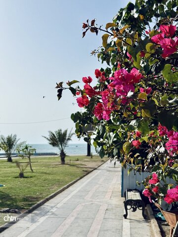 بوشهر با بافتی دل‌نشین و ترکیبی از معماری بومی و نسیم دریای خلیج‌‌‌‌‌‌‌‌‌‌‌‌‌‌‌فارس