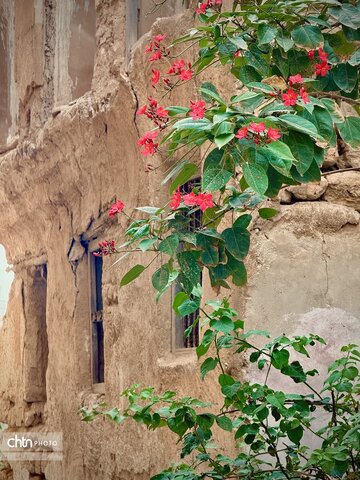 بوشهر با بافتی دل‌نشین و ترکیبی از معماری بومی و نسیم دریای خلیج‌‌‌‌‌‌‌‌‌‌‌‌‌‌‌فارس