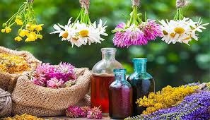 نشست تخصصی دبیرخانه همایش بین‌المللی گردشگری سلامت با فعالان داروهای گیاهی در همدان برگزار شد