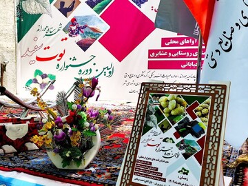 هوراند قطب تولید توت آذربایجان‌شرقی است/ جشنواره می‌تواند مبنای گردشگری خوراک باشد