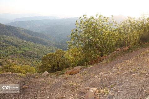 طولاب