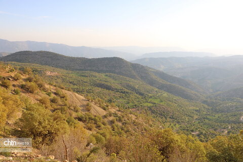 طولاب