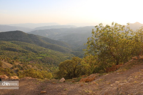 طولاب
