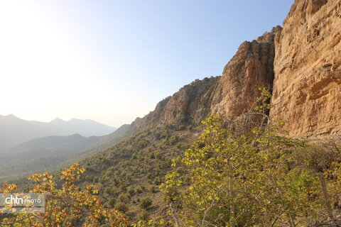 طولاب