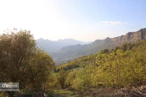 طولاب