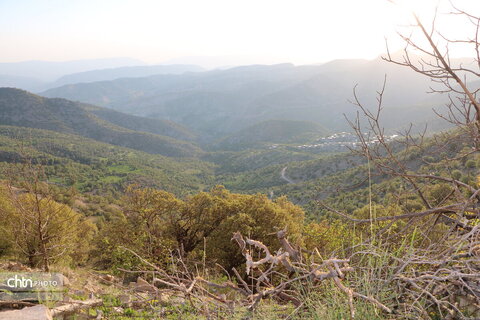 طولاب