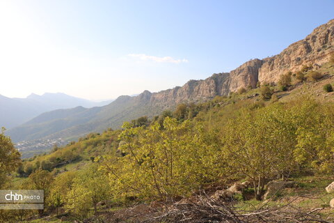 طولاب