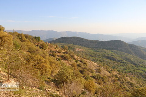 طولاب