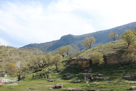 رازیانه