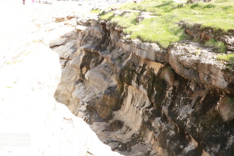 رازیانه