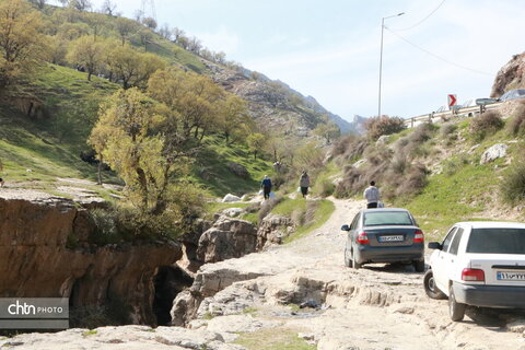 رازیانه