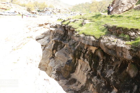 رازیانه