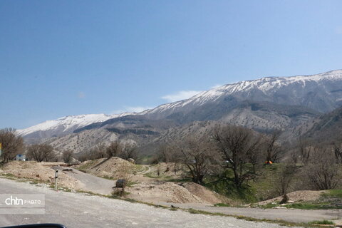 رازیانه