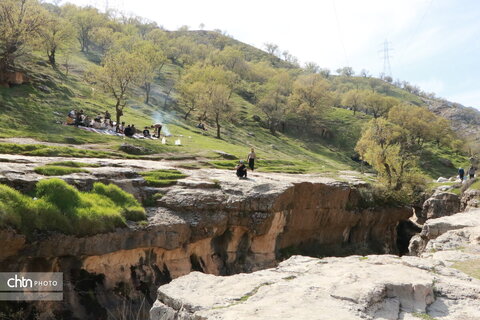 رازیانه