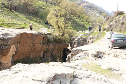 رازیانه