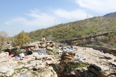 رازیانه