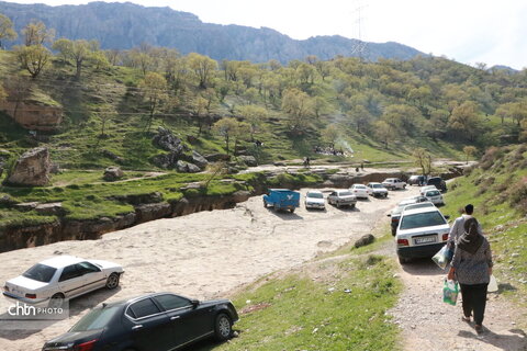 رازیانه