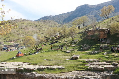 رازیانه