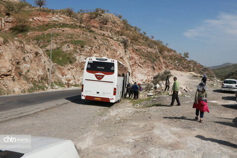 رازیانه