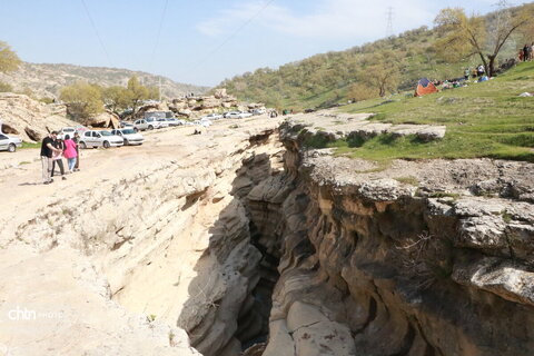رازیانه