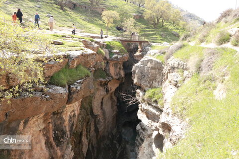 رازیانه