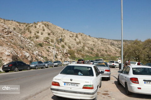 رازیانه