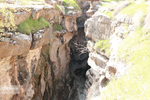 رازیانه