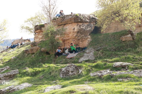 رازیانه
